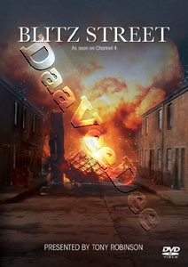 Blitz Street |   DVD